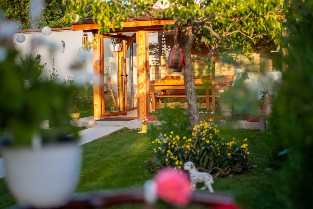Guest House Vasilena Sapareva Banya Exterior photo