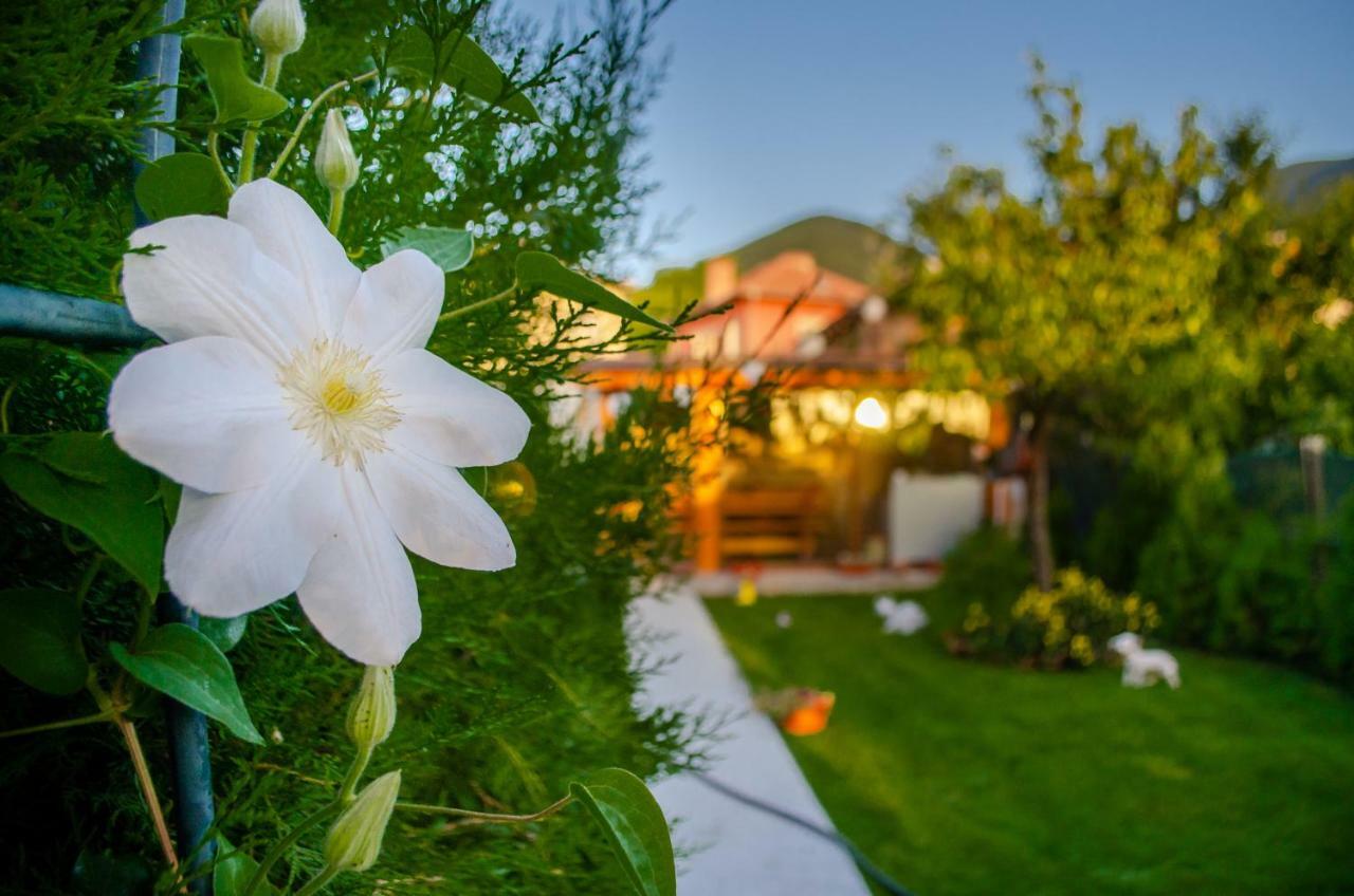 Guest House Vasilena Sapareva Banya Exterior photo